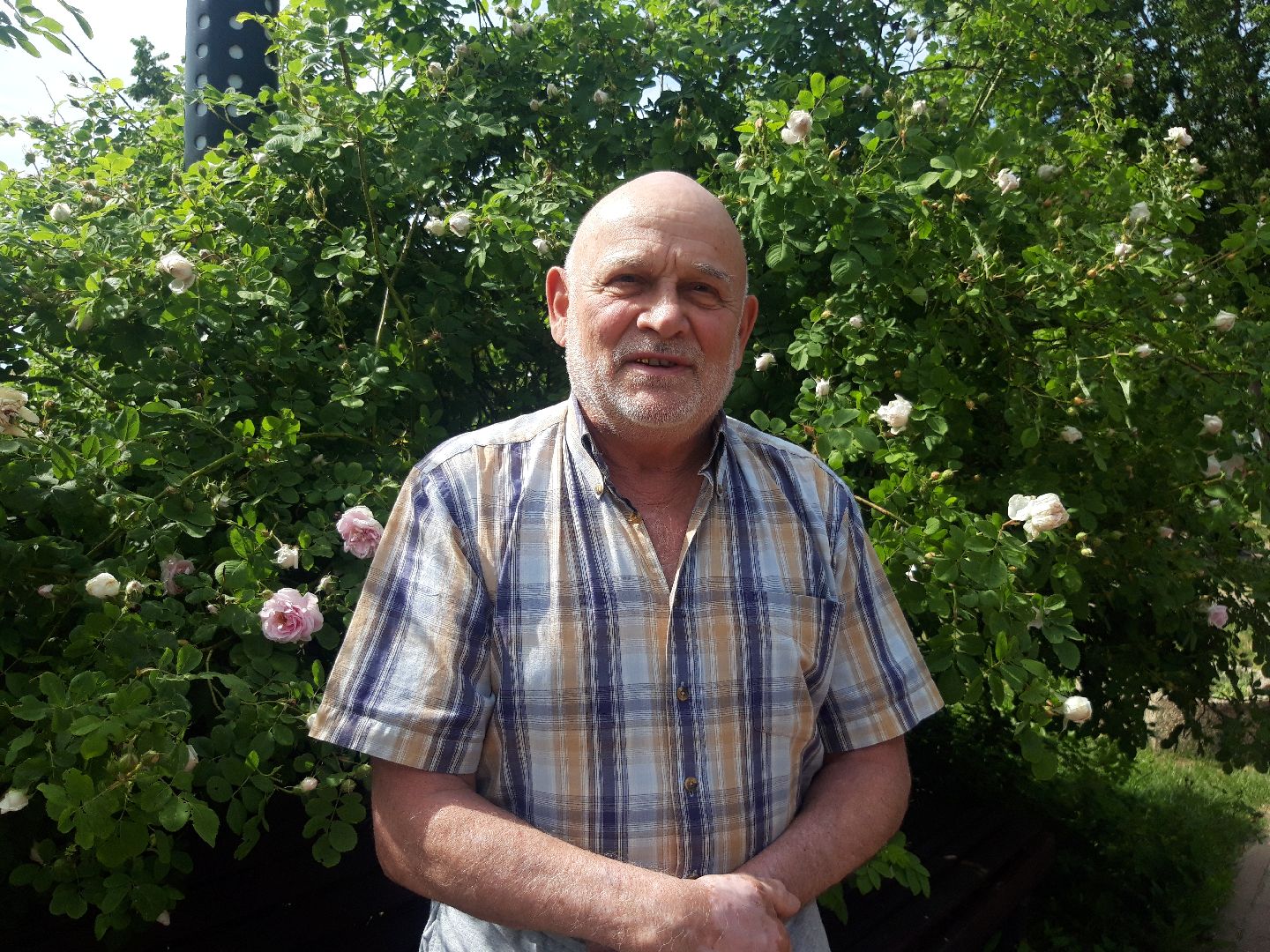 искусство, пенсионеры,