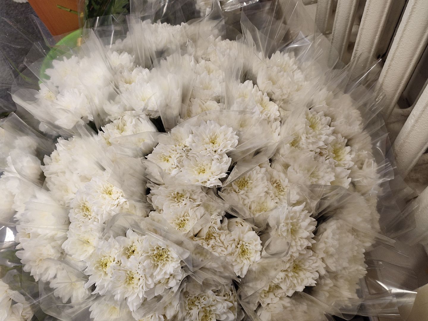 #деньмедицинскогоработника, #талдомскийокруг, #здравоохранение, #награждение, #медицина