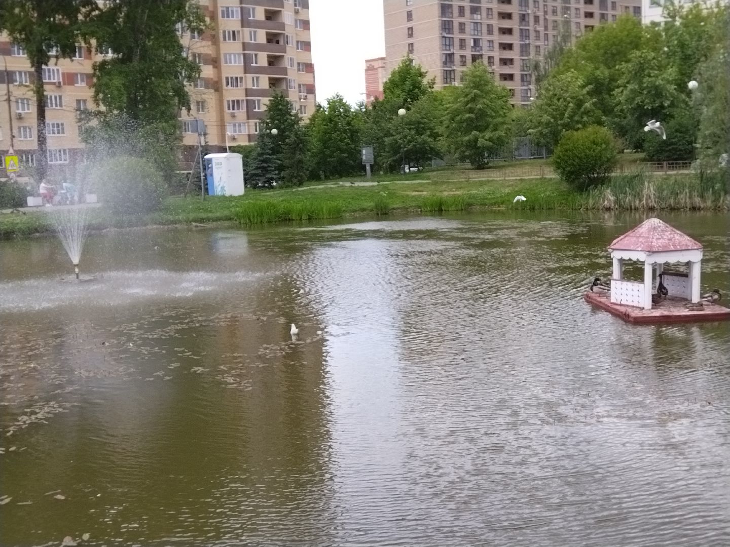 Утиный домик, Мытищи, Колпакова