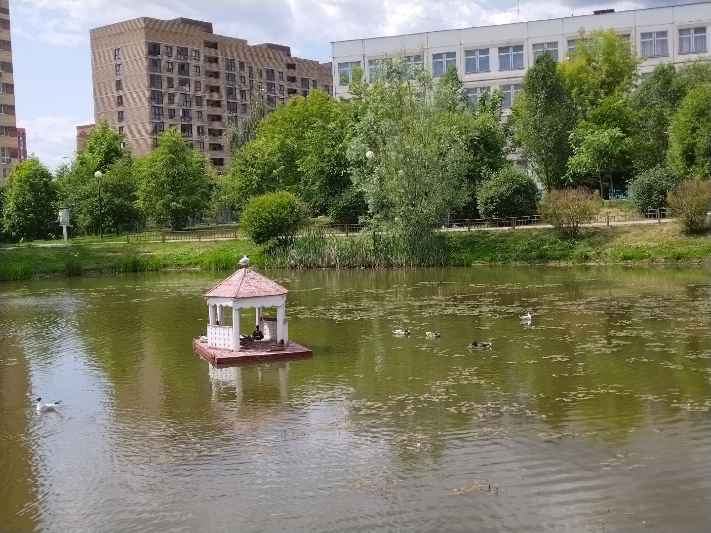 Утиный домик, Мытищи, Колпакова