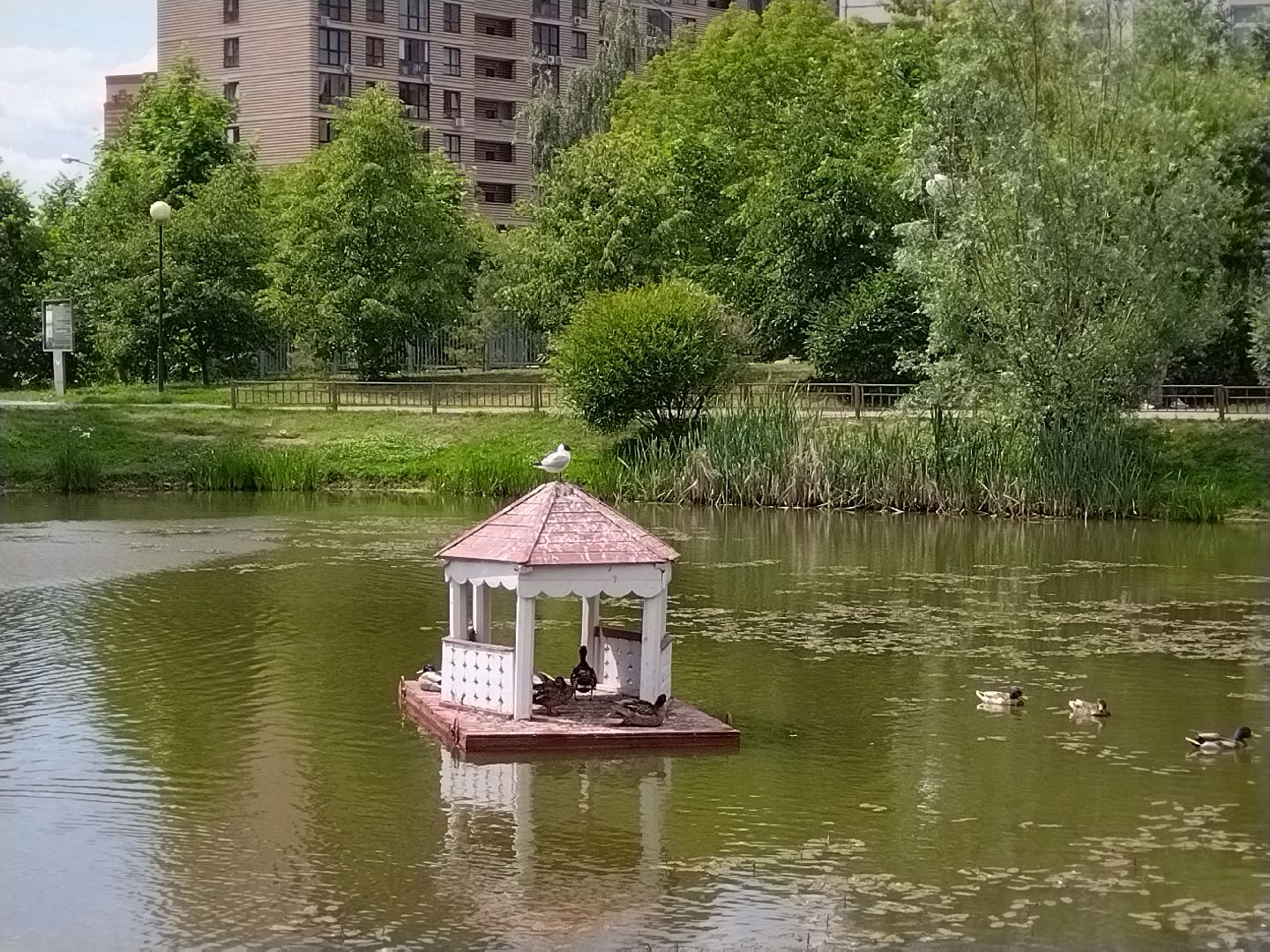 Утиный домик, Мытищи, Колпакова