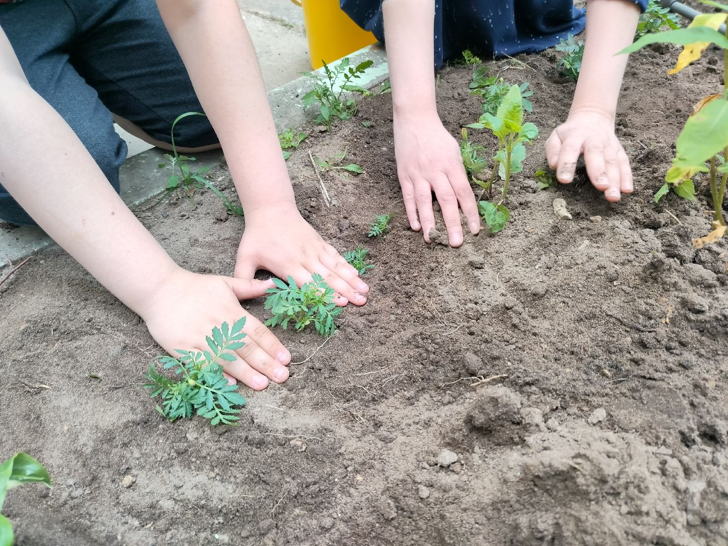 библиотека, Протвино, общество, культура, дети