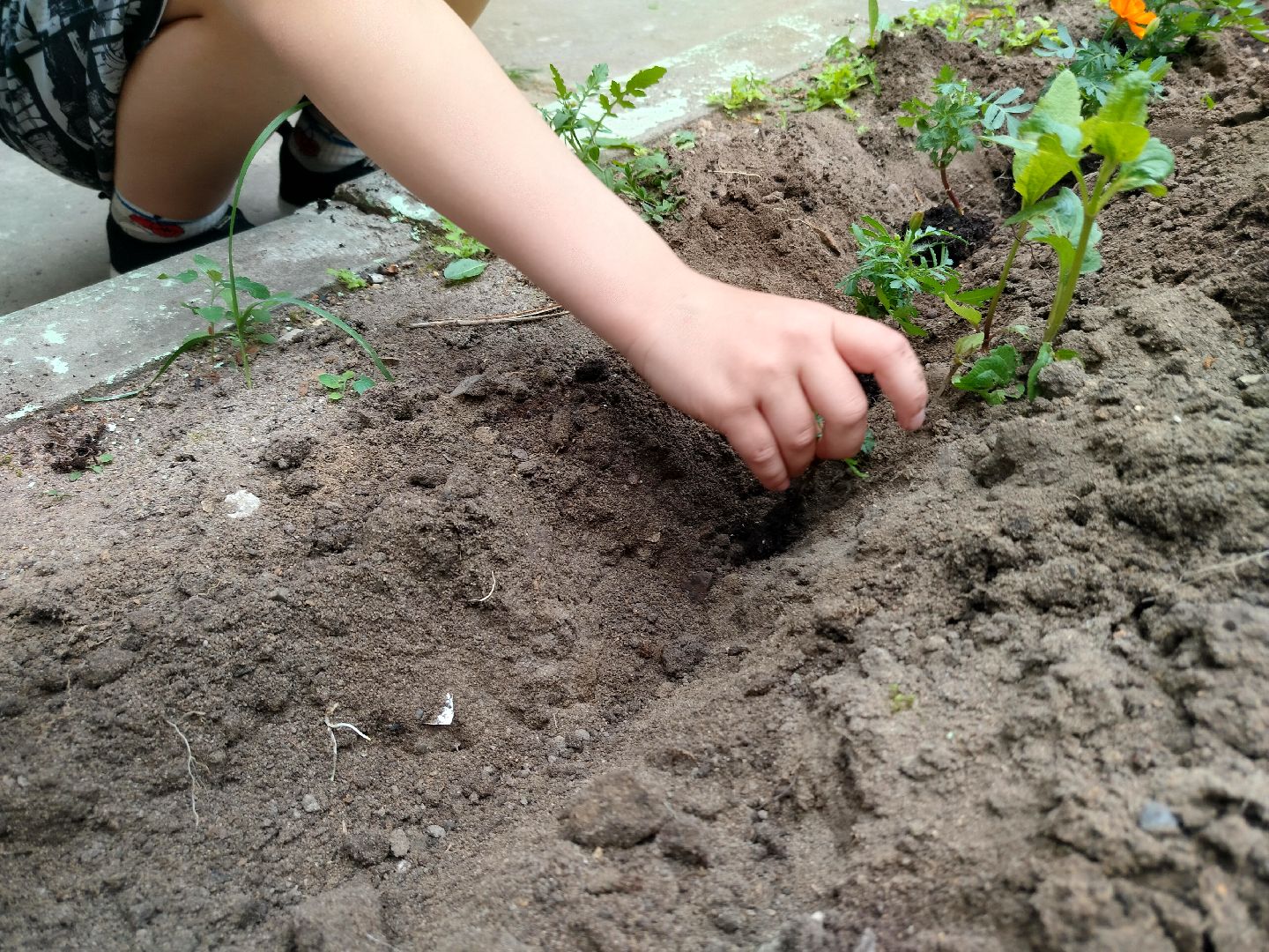 библиотека, Протвино, общество, культура, дети