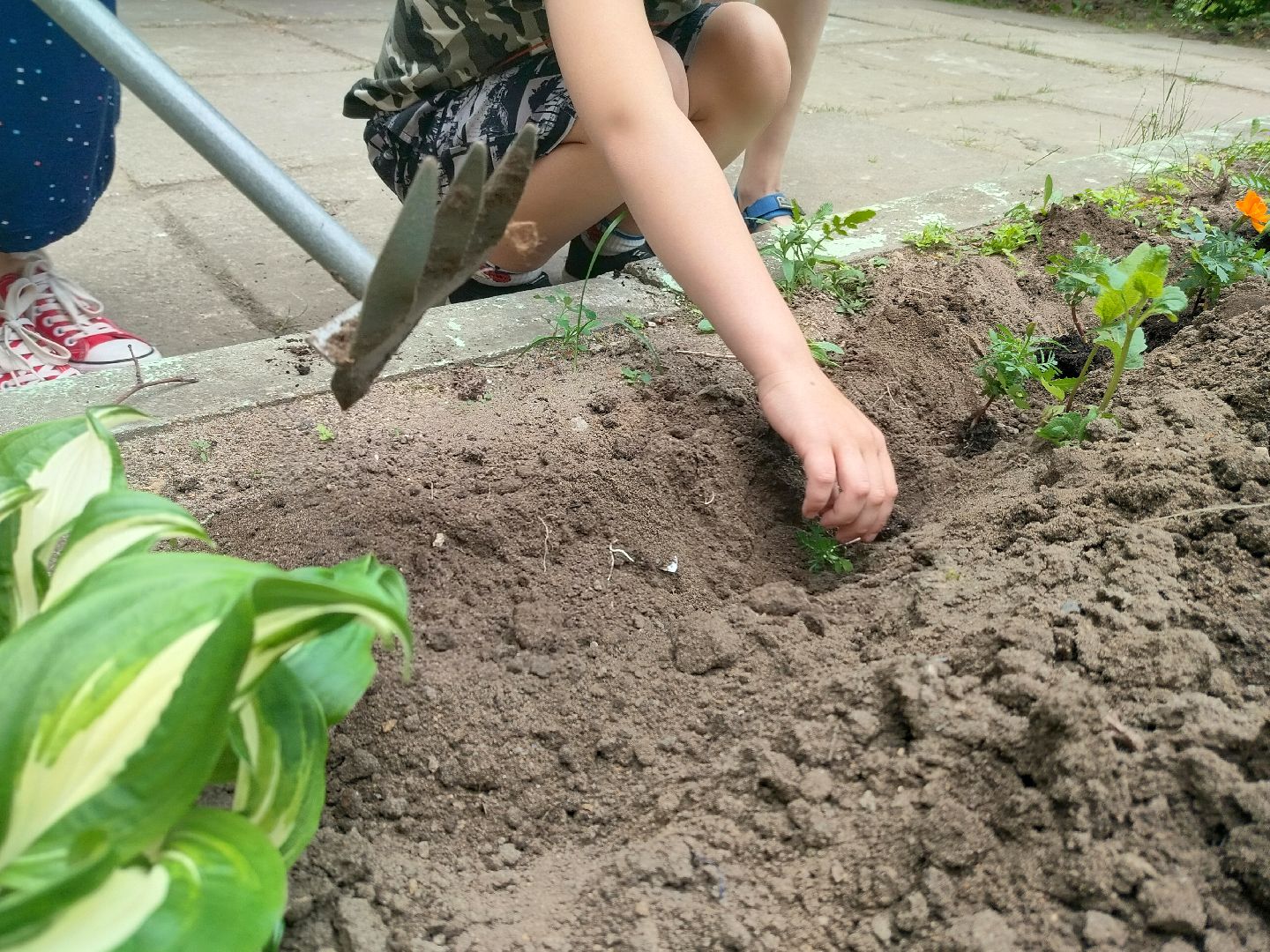 библиотека, Протвино, общество, культура, дети