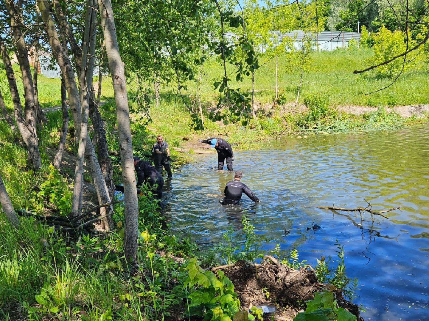 экология, программа губернатора, Фрязино
