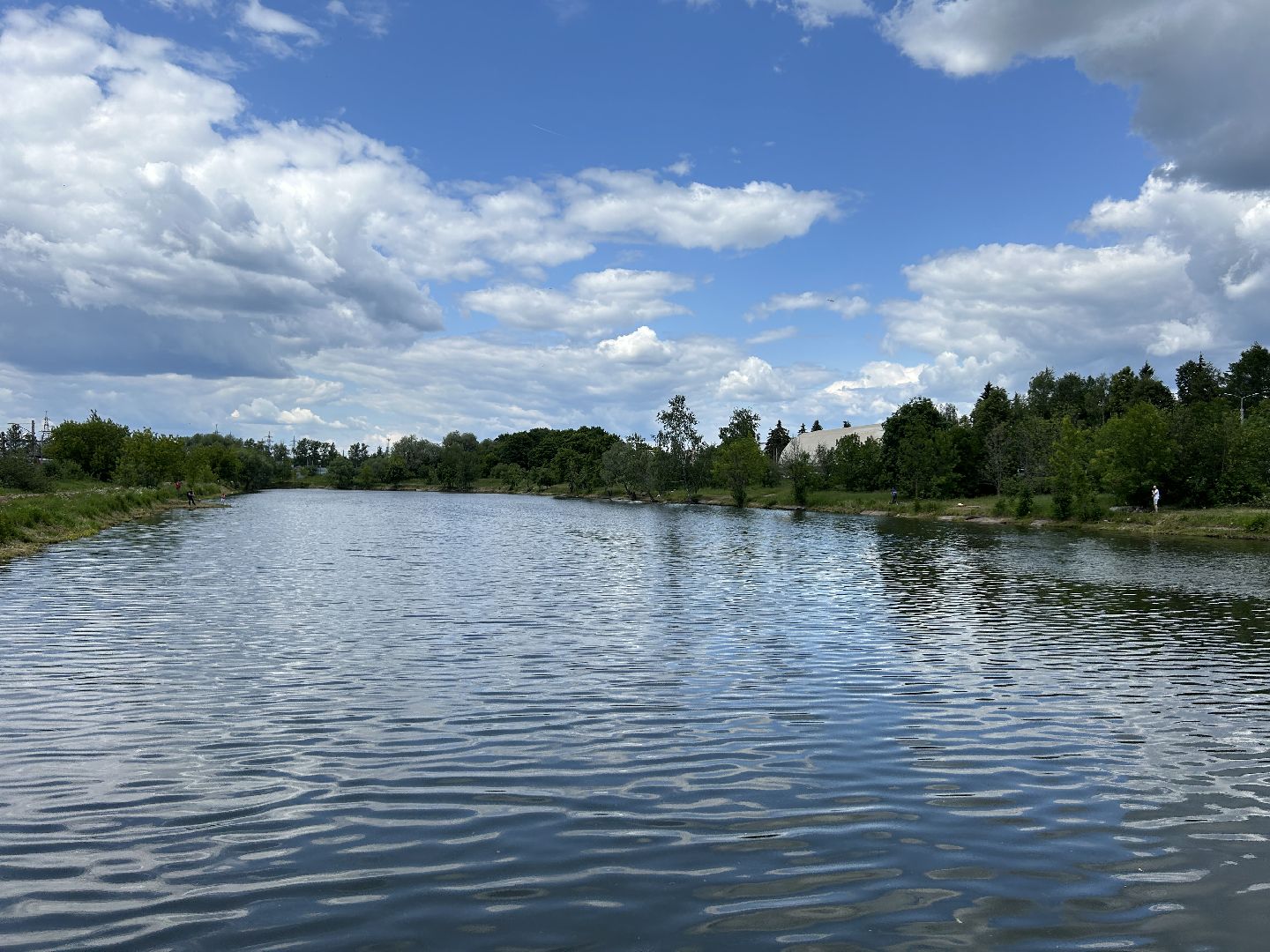 экология, программа губернатора, Фрязино