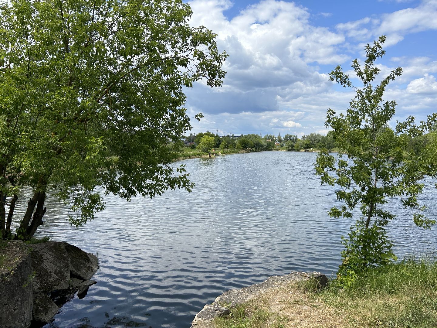 экология, программа губернатора, Фрязино