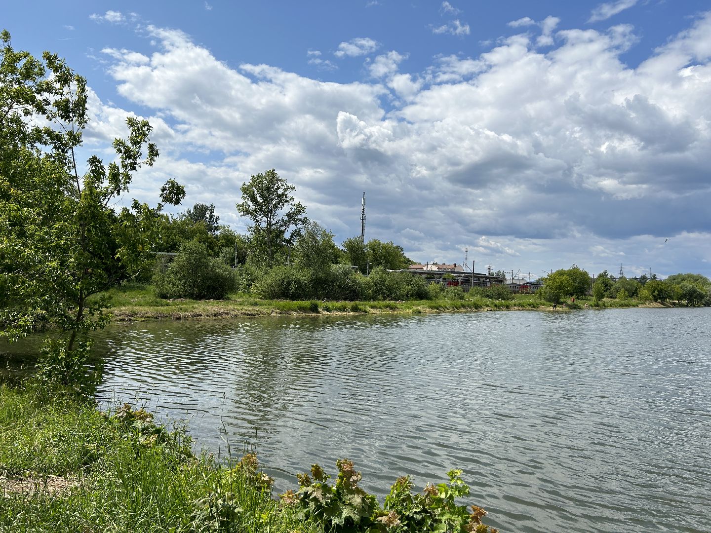 экология, программа губернатора, Фрязино