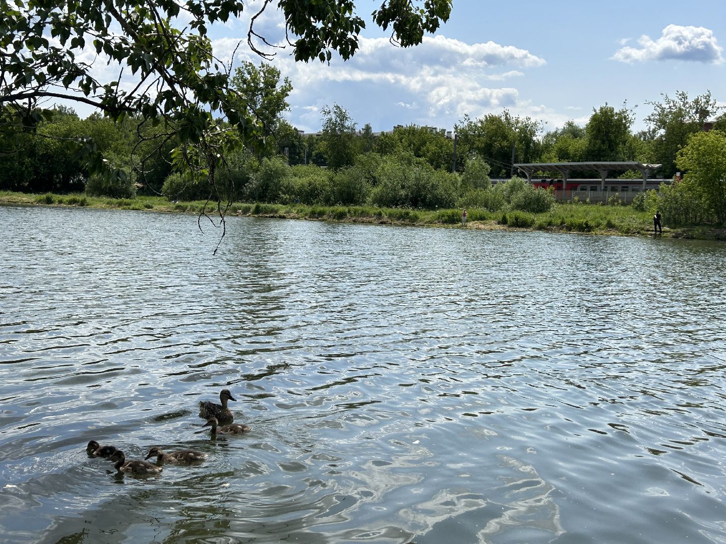 экология, программа губернатора, Фрязино