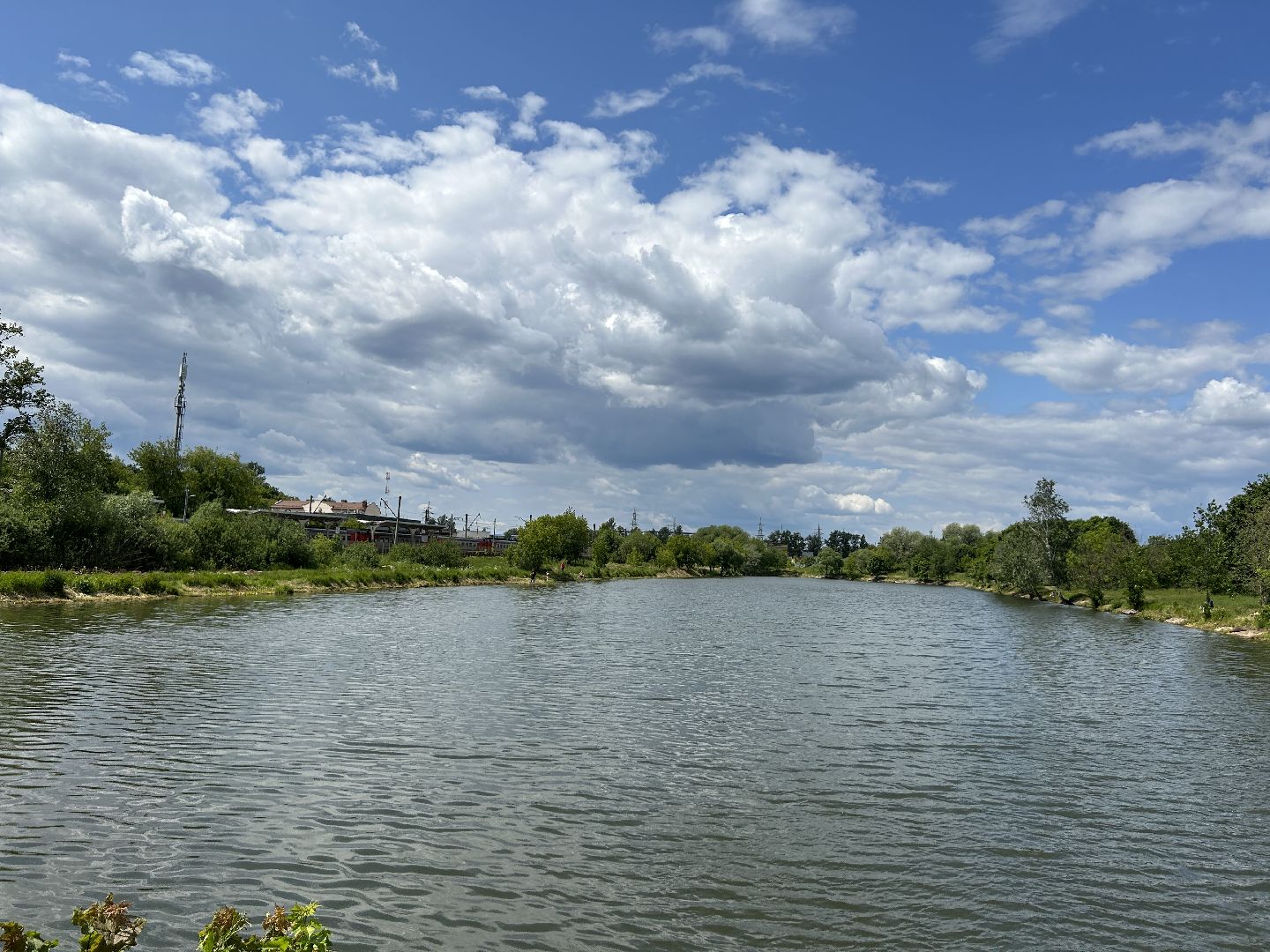 экология, программа губернатора, Фрязино