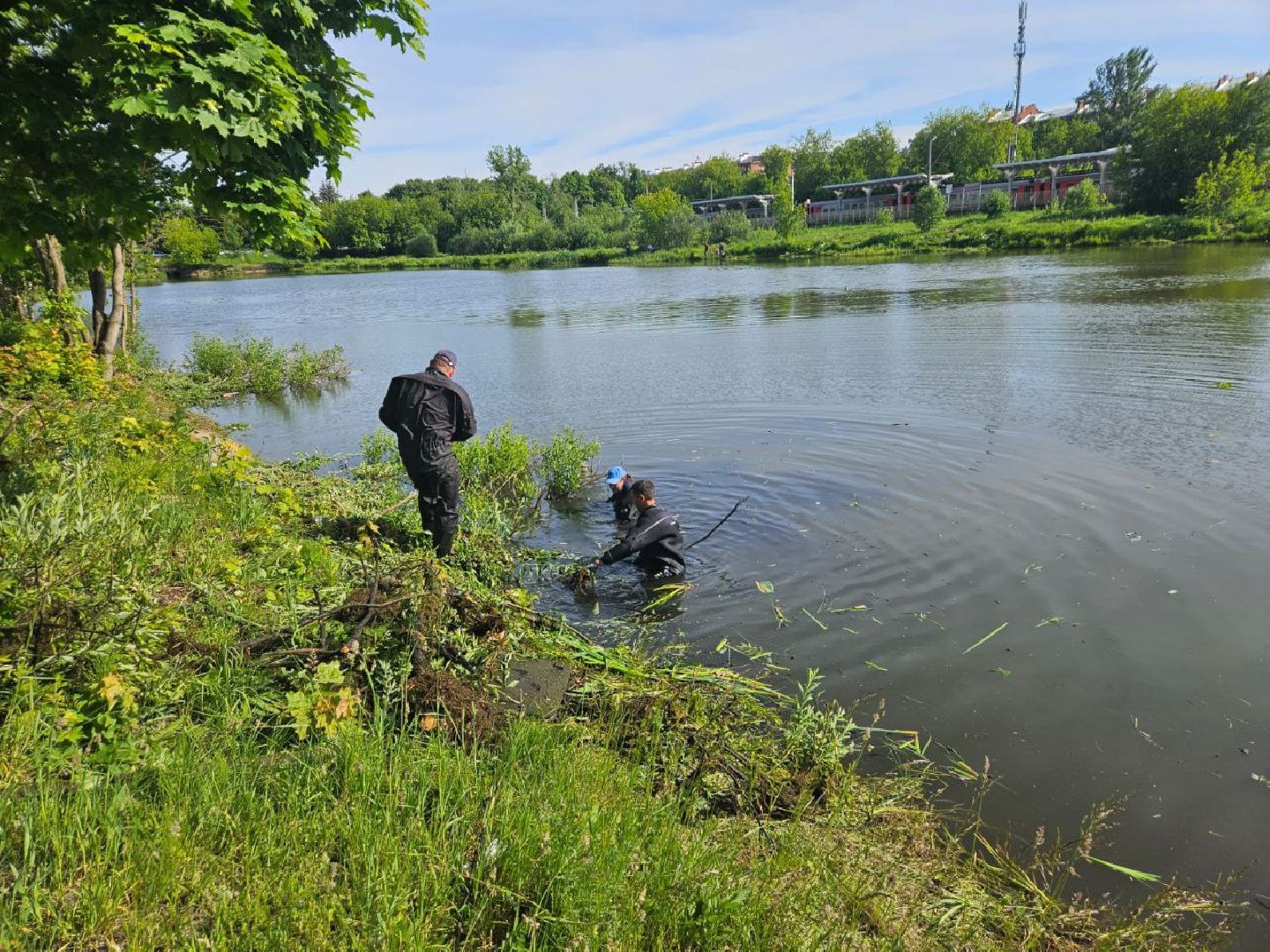 экология, программа губернатора, Фрязино