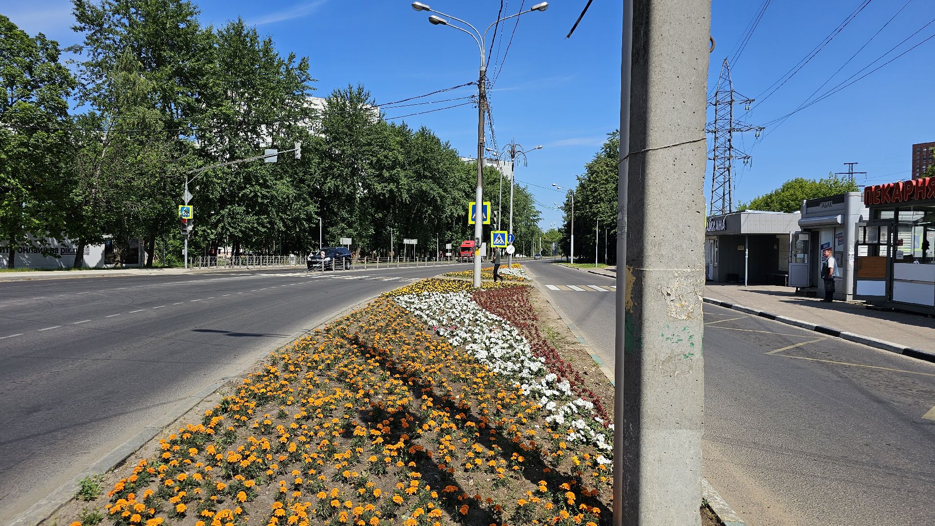 цветники, посадка цветов, уход за растениями, Котельники