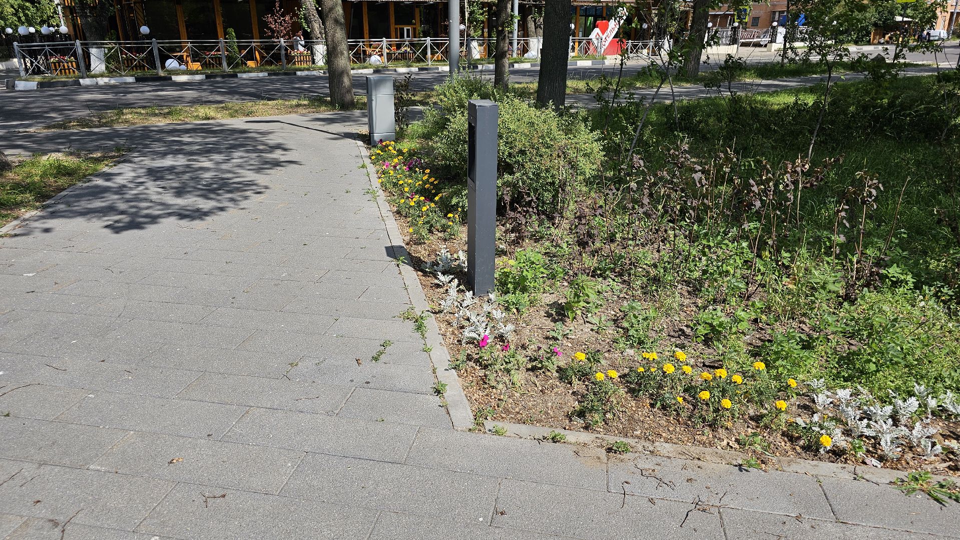 цветники, посадка цветов, уход за растениями, Котельники