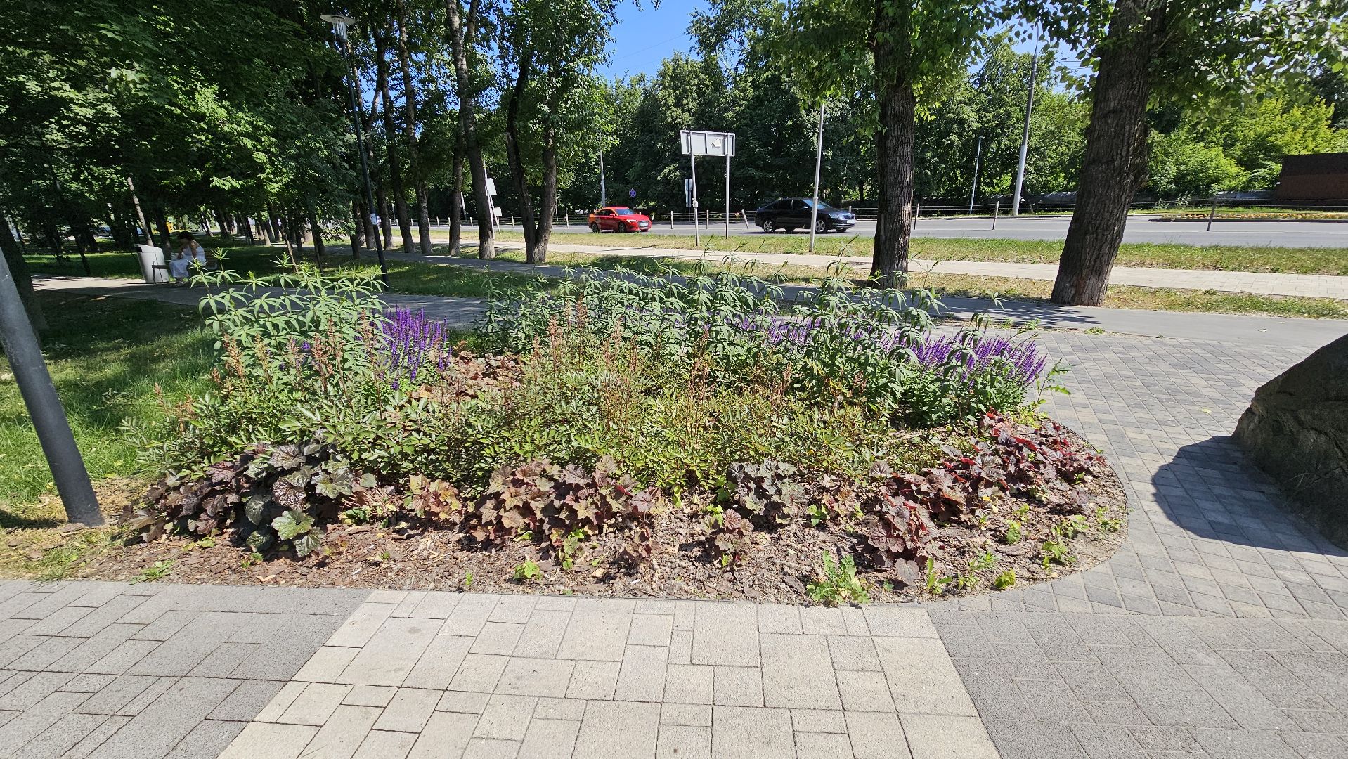 цветники, посадка цветов, уход за растениями, Котельники