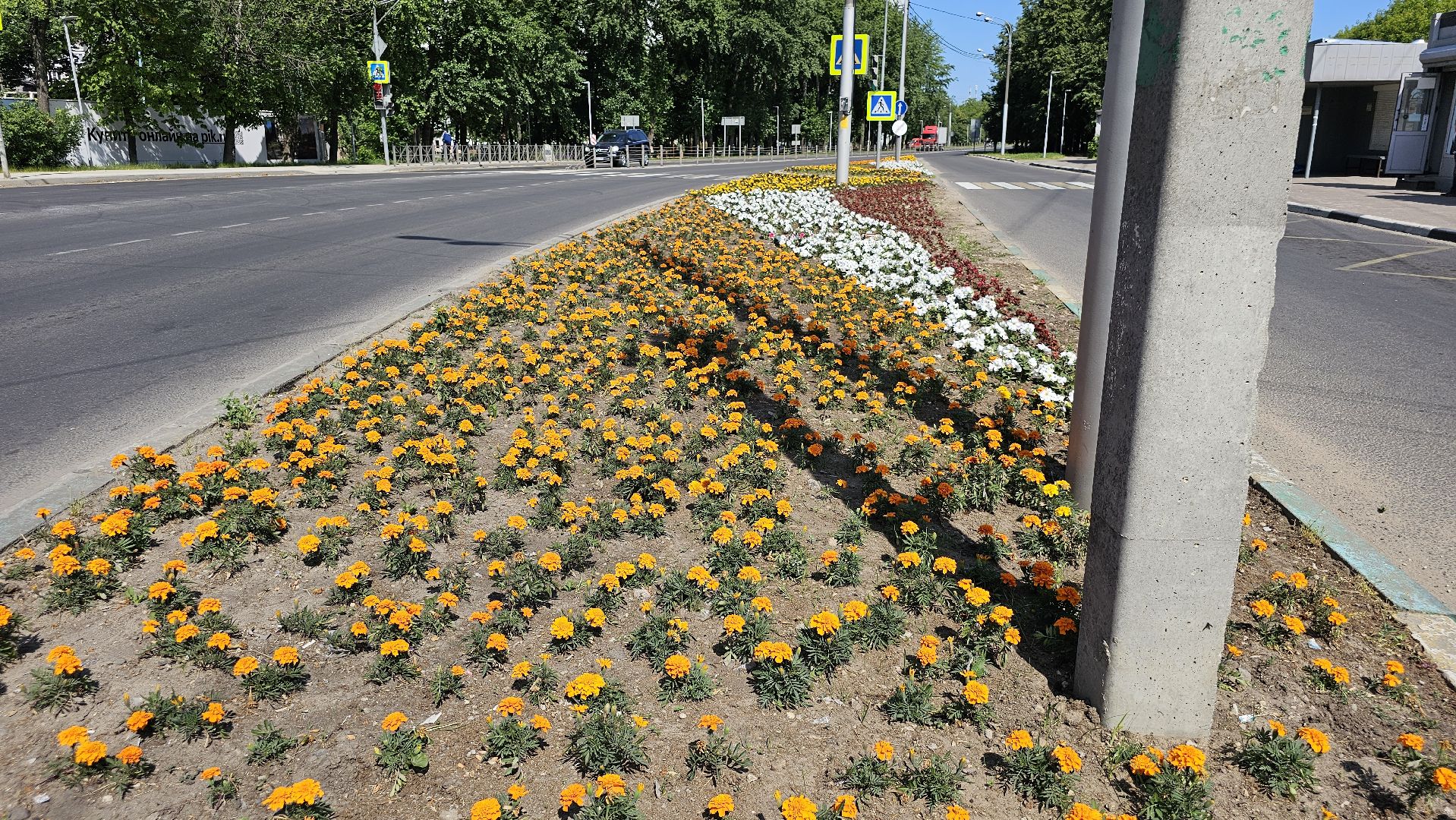 цветники, посадка цветов, уход за растениями, Котельники