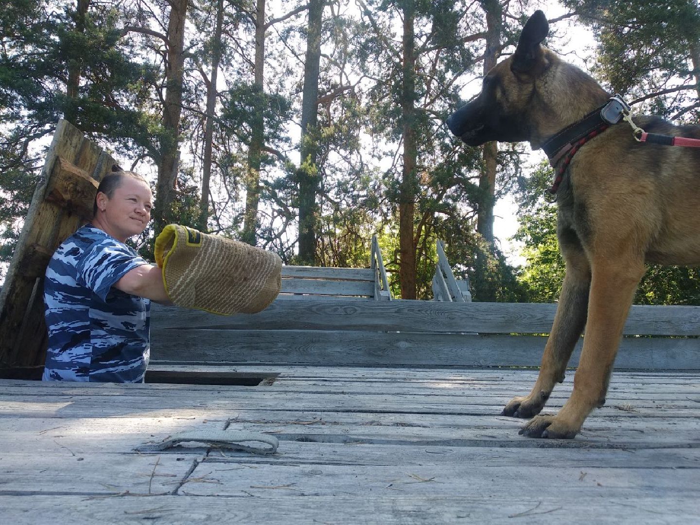 Дмитров, Икшанская колония, кинологи