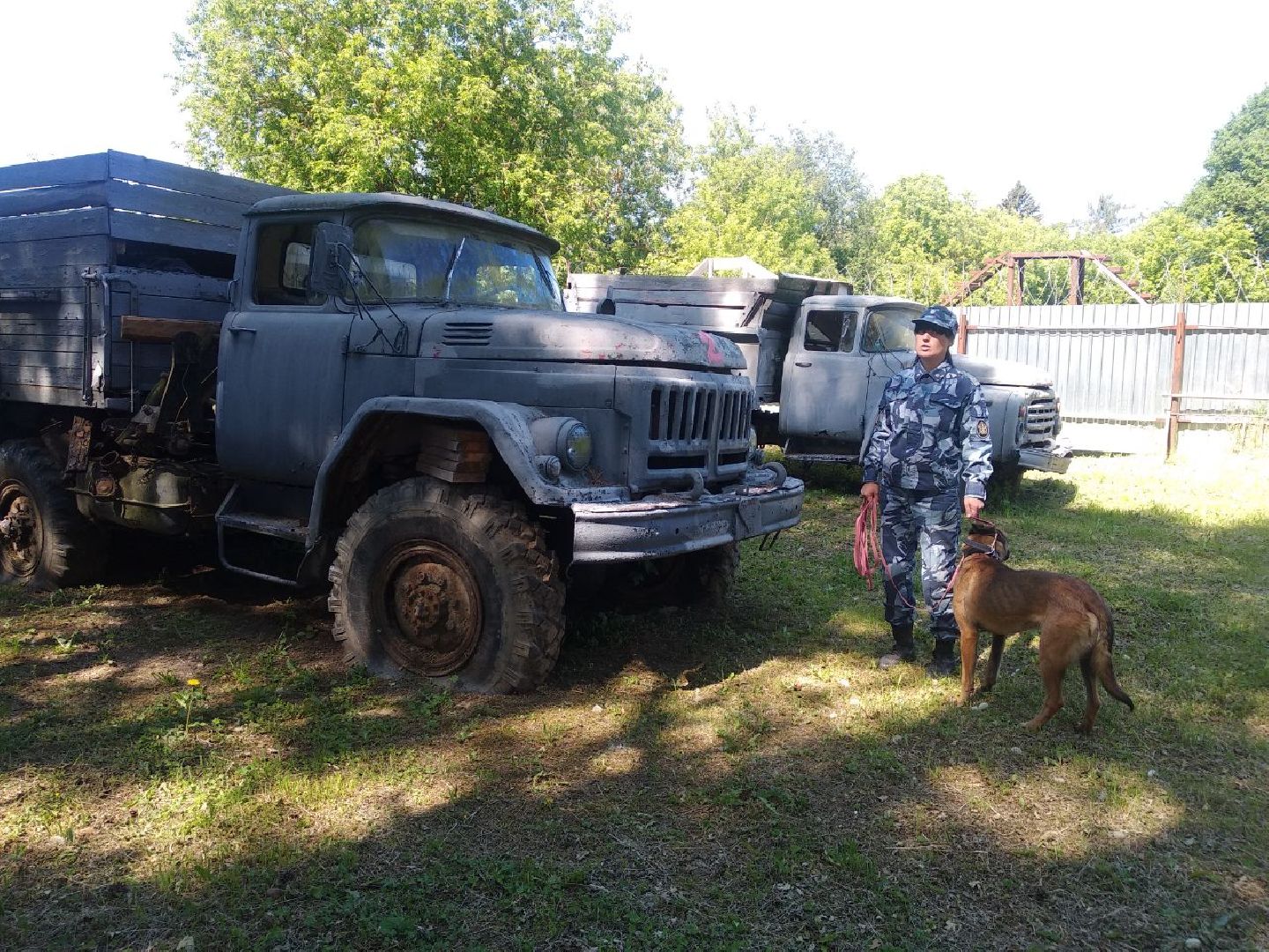 Дмитров, Икшанская колония, кинологи