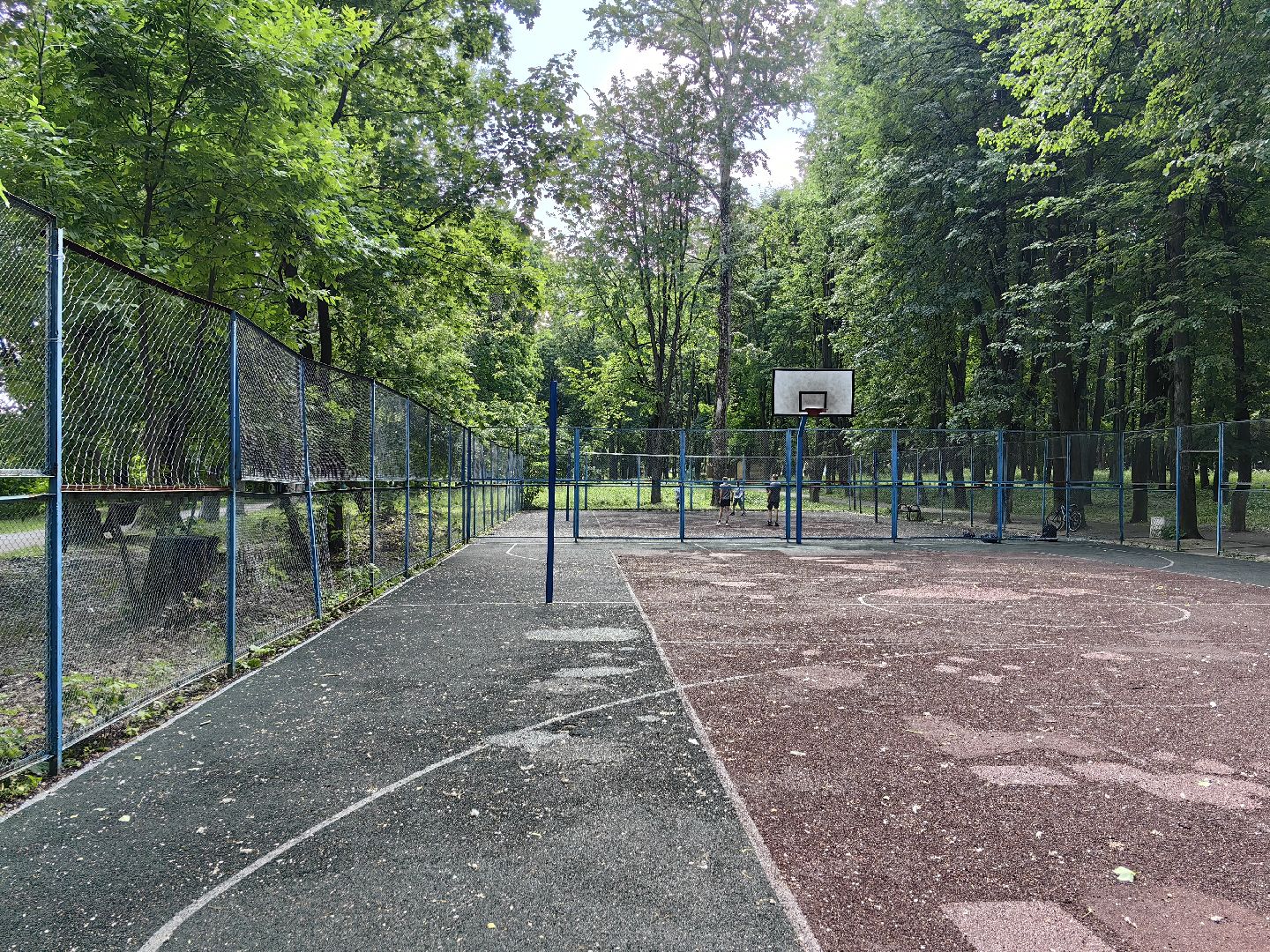 Парк, уборка, пылесос, листья, река