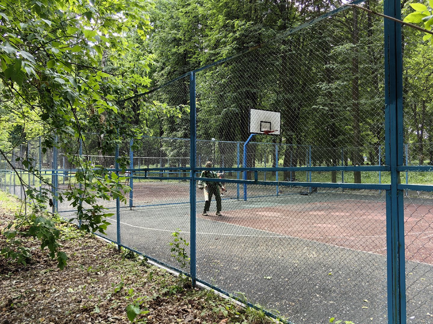 Парк, уборка, пылесос, листья, река