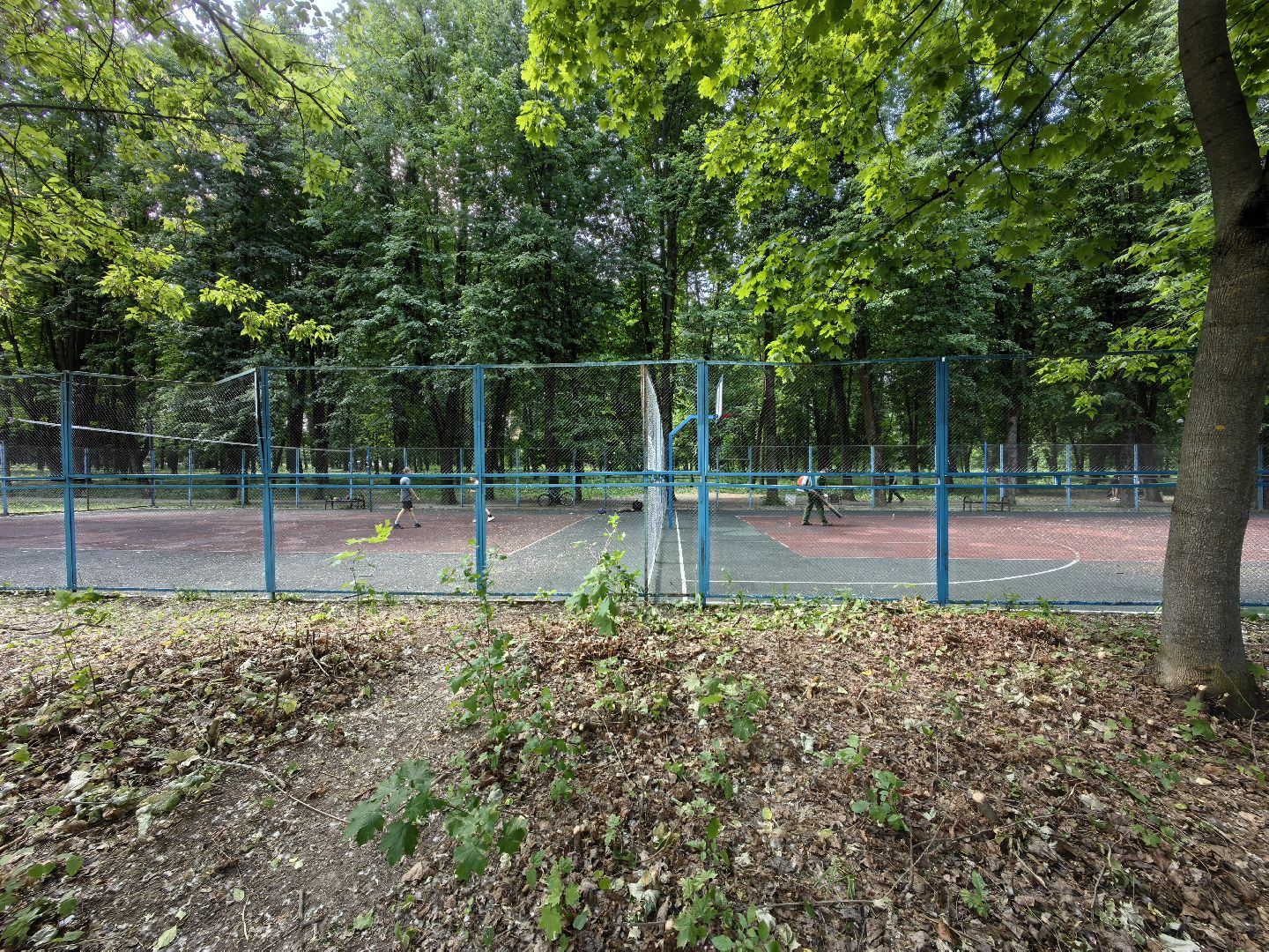 Парк, уборка, пылесос, листья, река