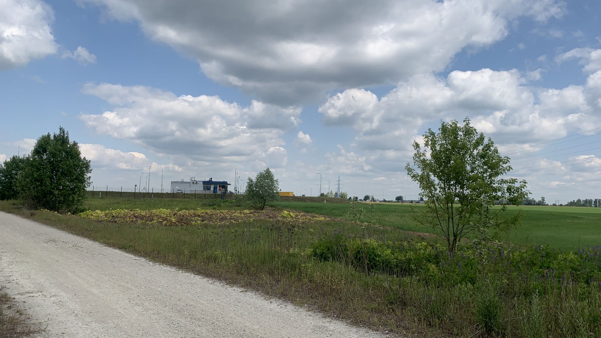 Ступино, экология, борщевик