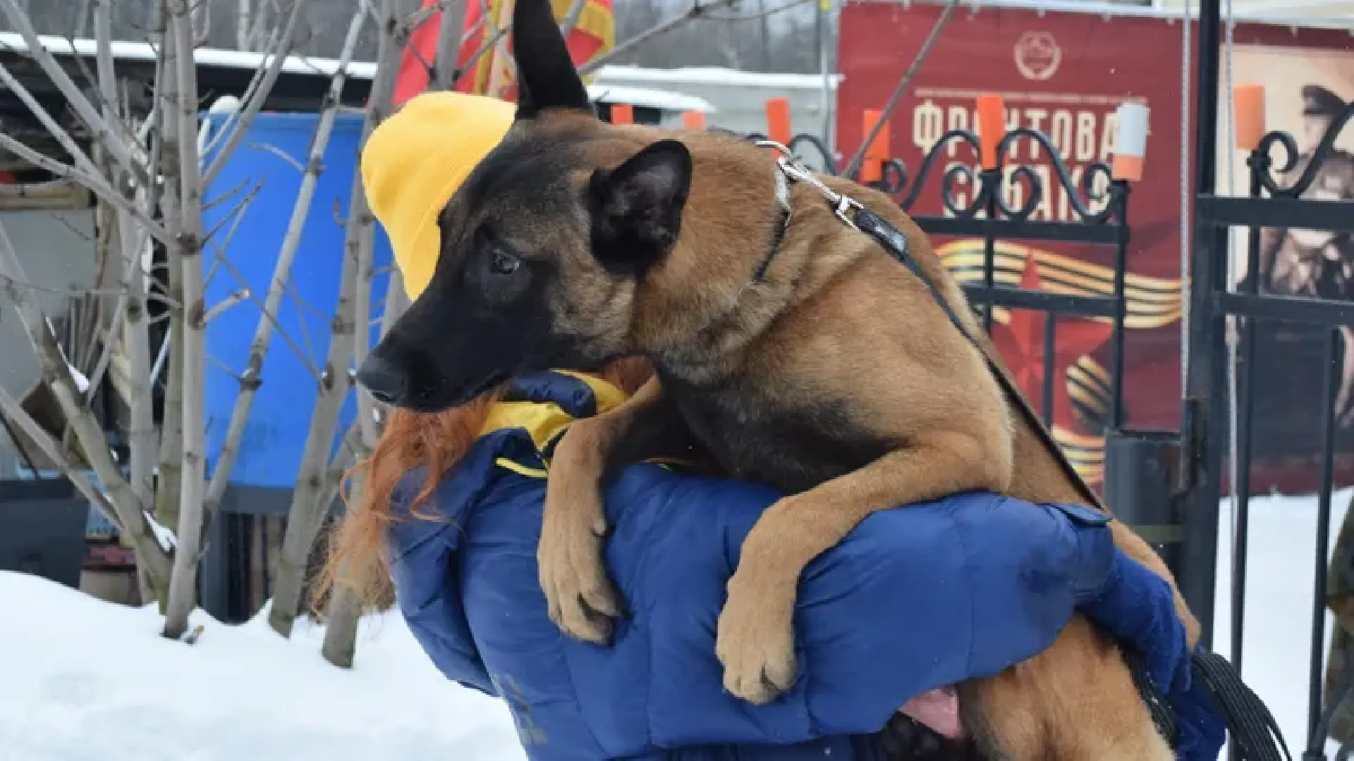 Долгопрудный, кинологи, фронтовая собака, спецназ, диверсанты
