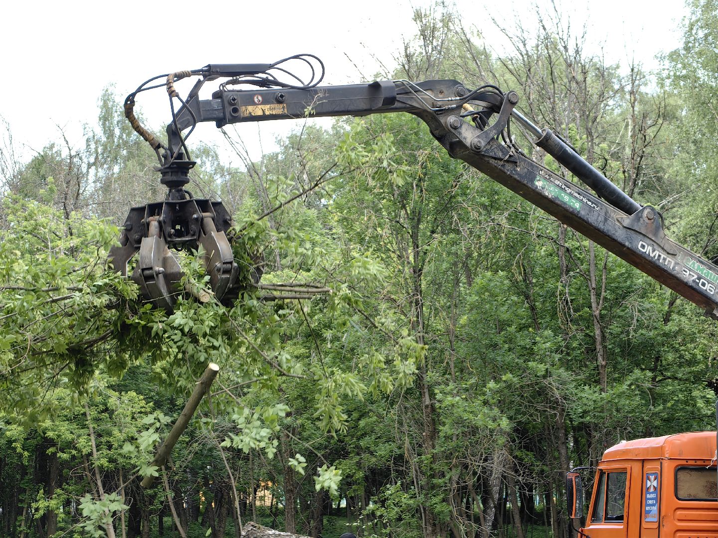 Детская площадка, деревья, территория, спорт, благоустройство