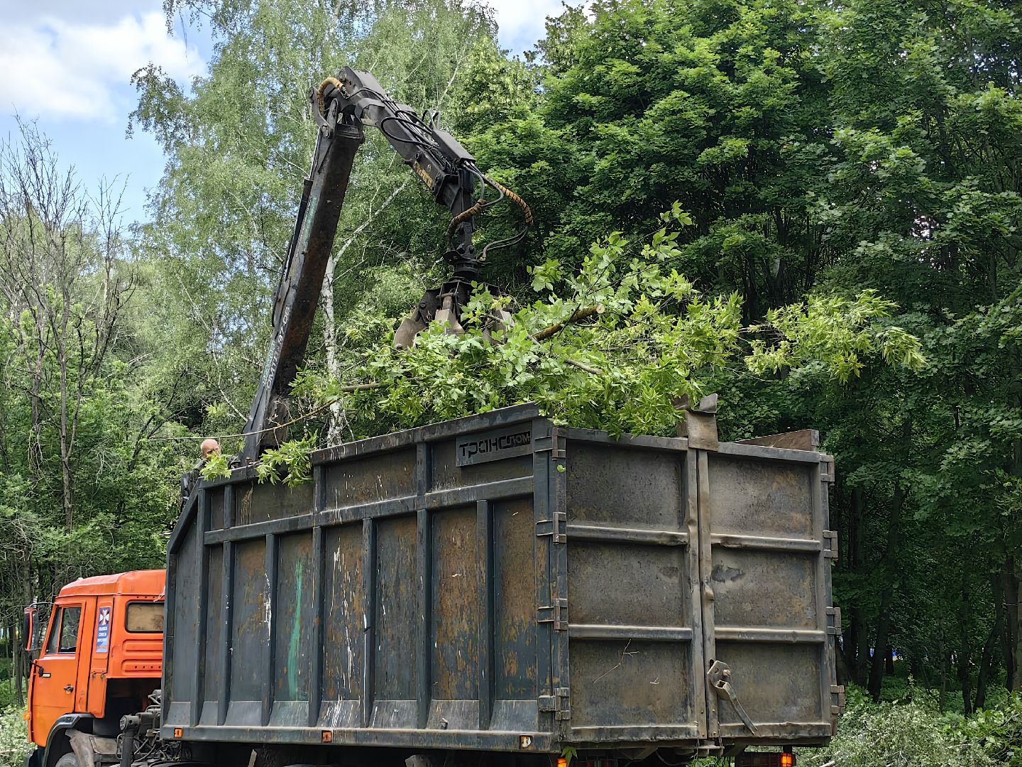 Детская площадка, деревья, территория, спорт, благоустройство