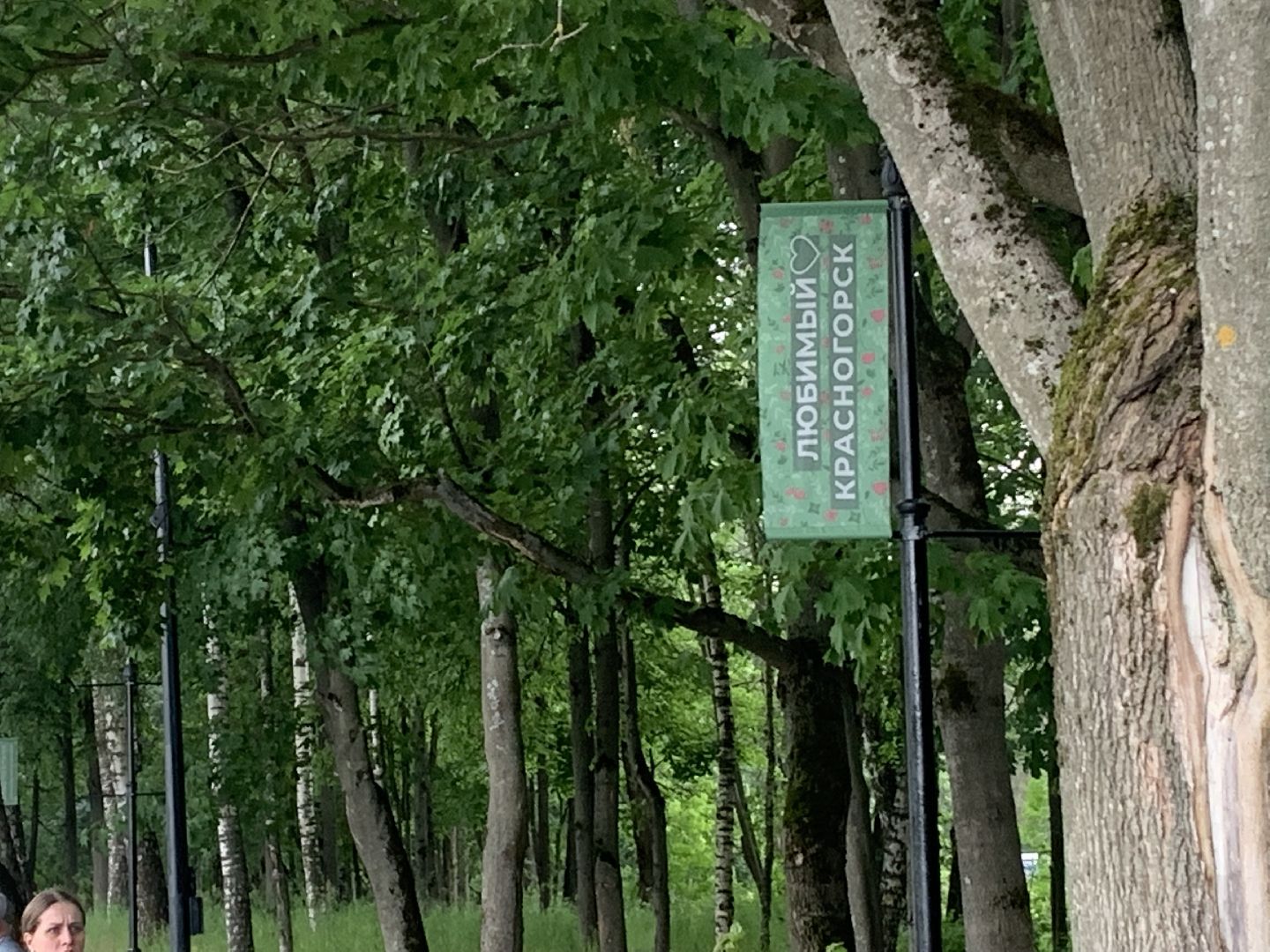 Парк, Ивановские пруды, отдых, лето в подмосковье, выходные в подмосковье,