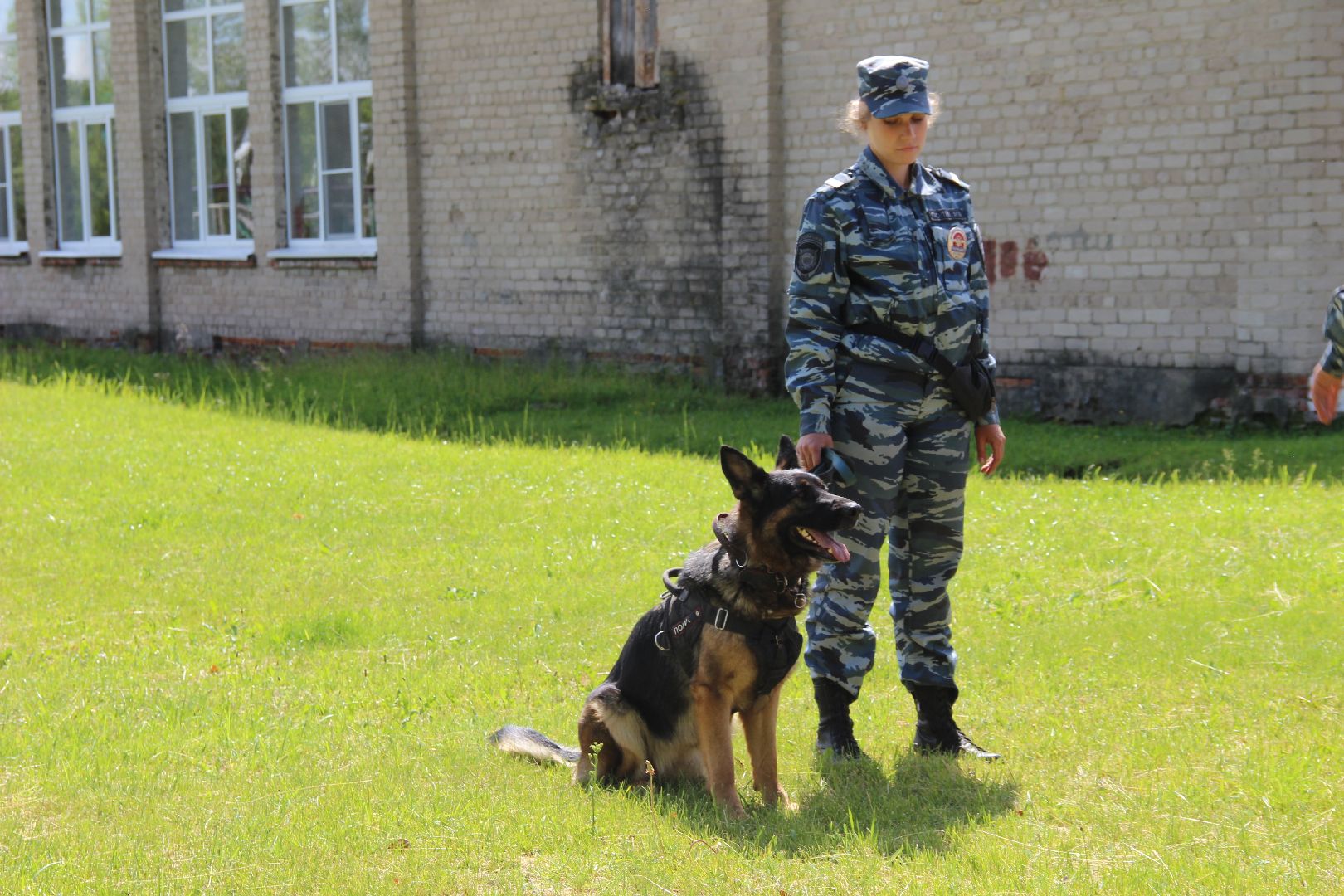 #БольшаяШатура#Рошаль#Денькинолога#Зена#Ита