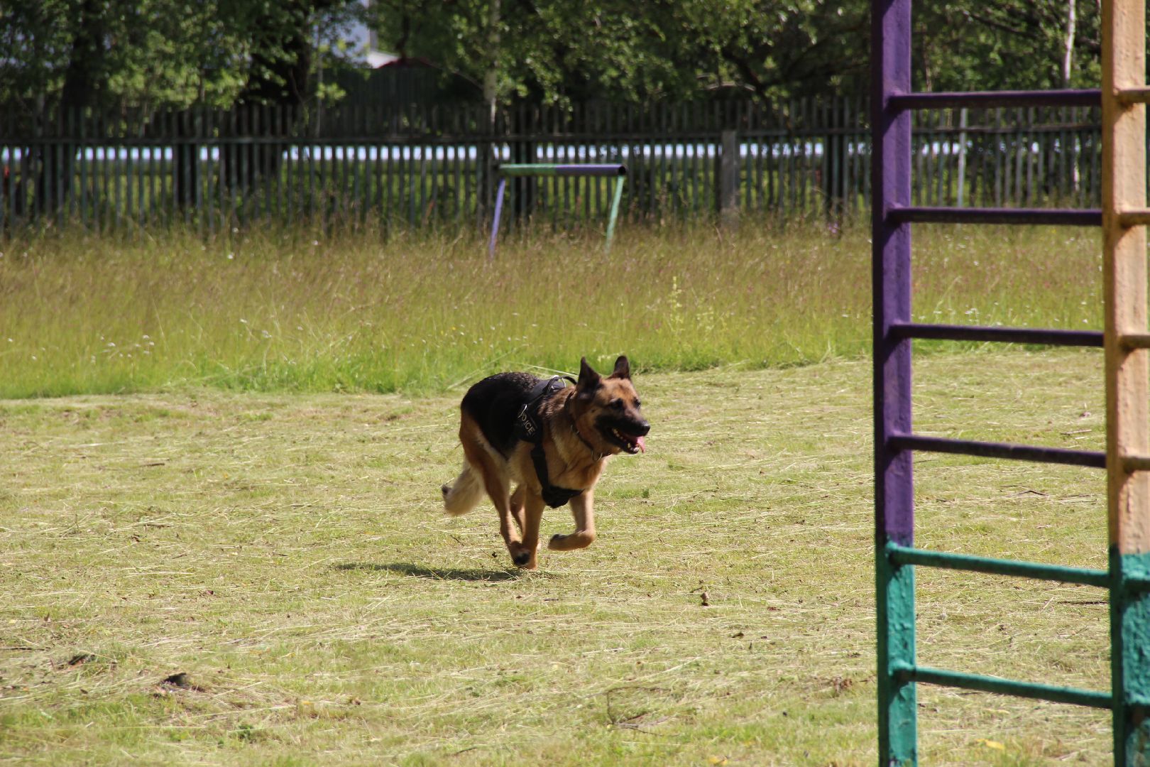 #БольшаяШатура#Рошаль#Денькинолога#Зена#Ита