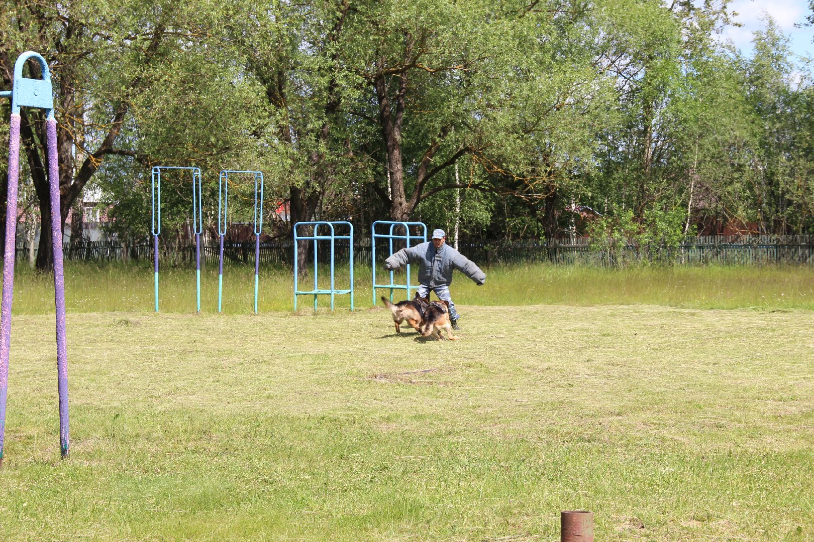 #БольшаяШатура#Рошаль#Денькинолога#Зена#Ита