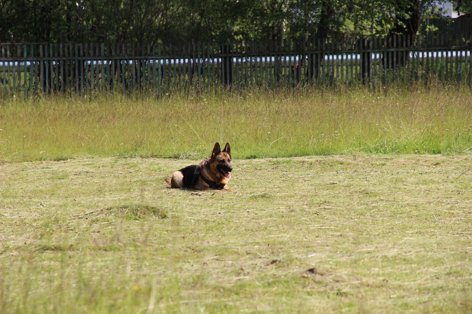 #БольшаяШатура#Рошаль#Денькинолога#Зена#Ита