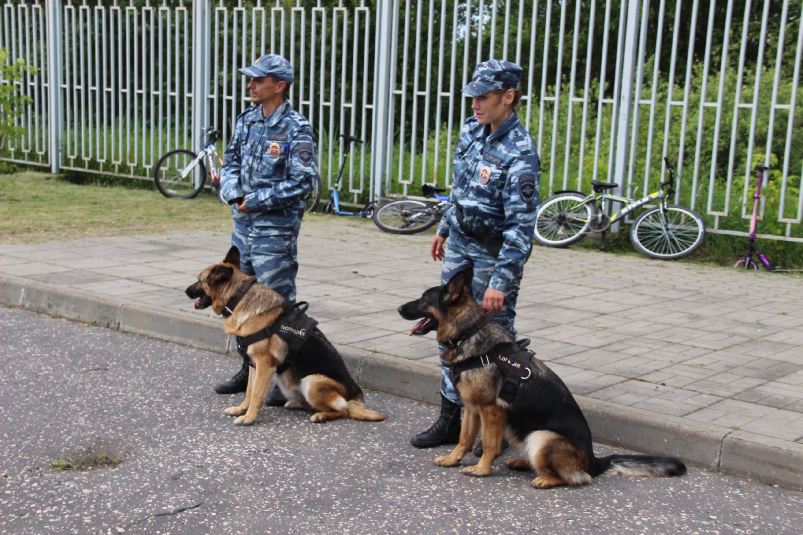 #БольшаяШатура#Рошаль#Денькинолога#Зена#Ита