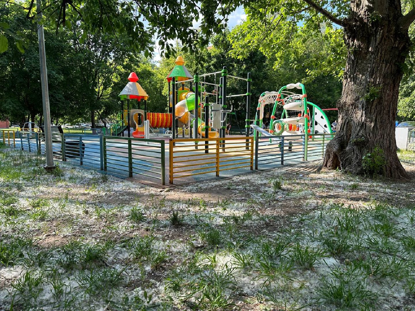 Реутов, тополиный пух, врачи, пожарная охрана