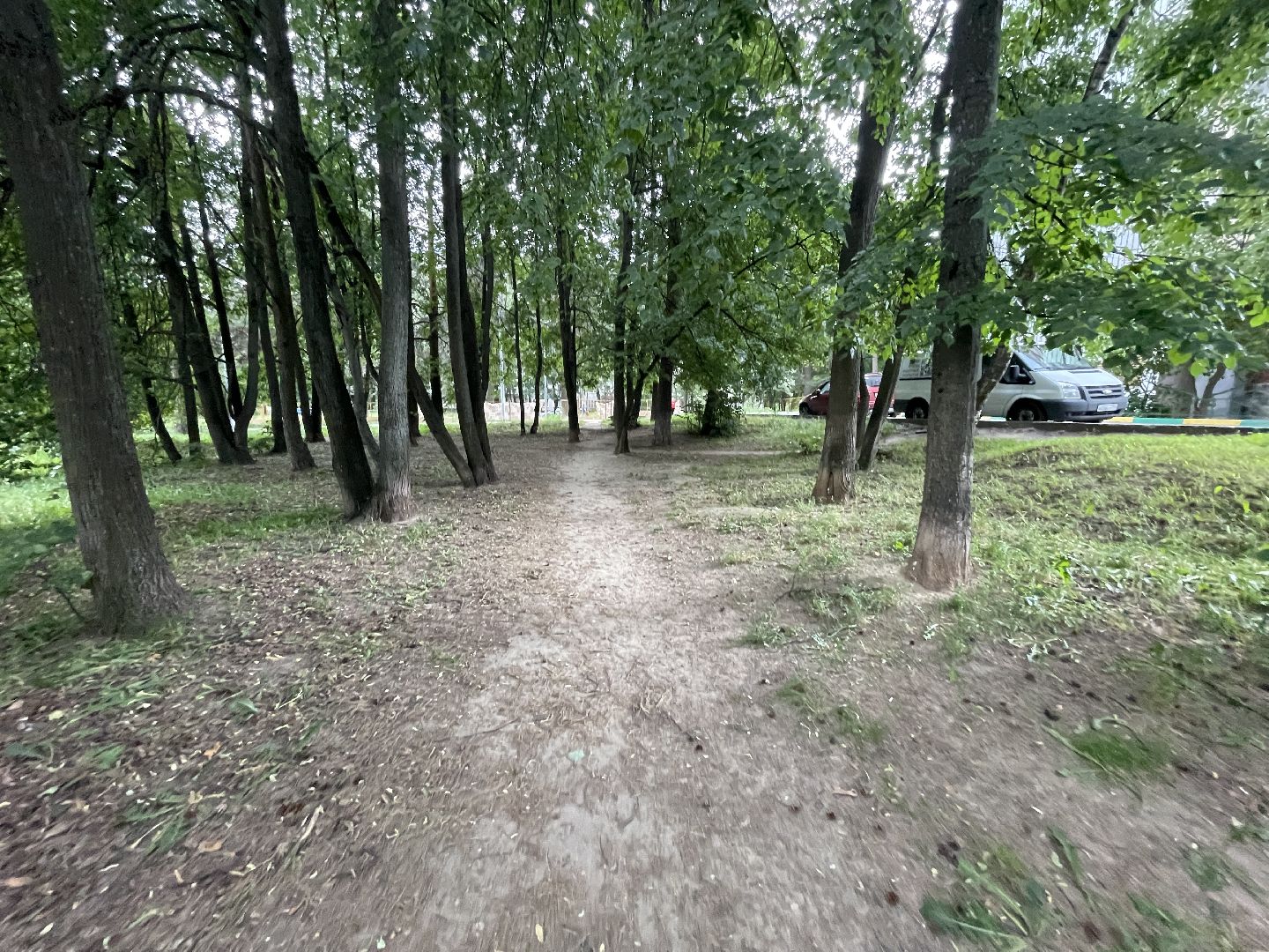 Благоустройство, Одинцово, народная тропа,