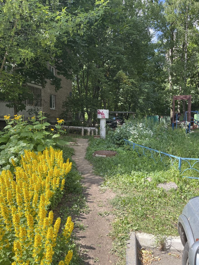 Благоустройство, Одинцово, народная тропа,