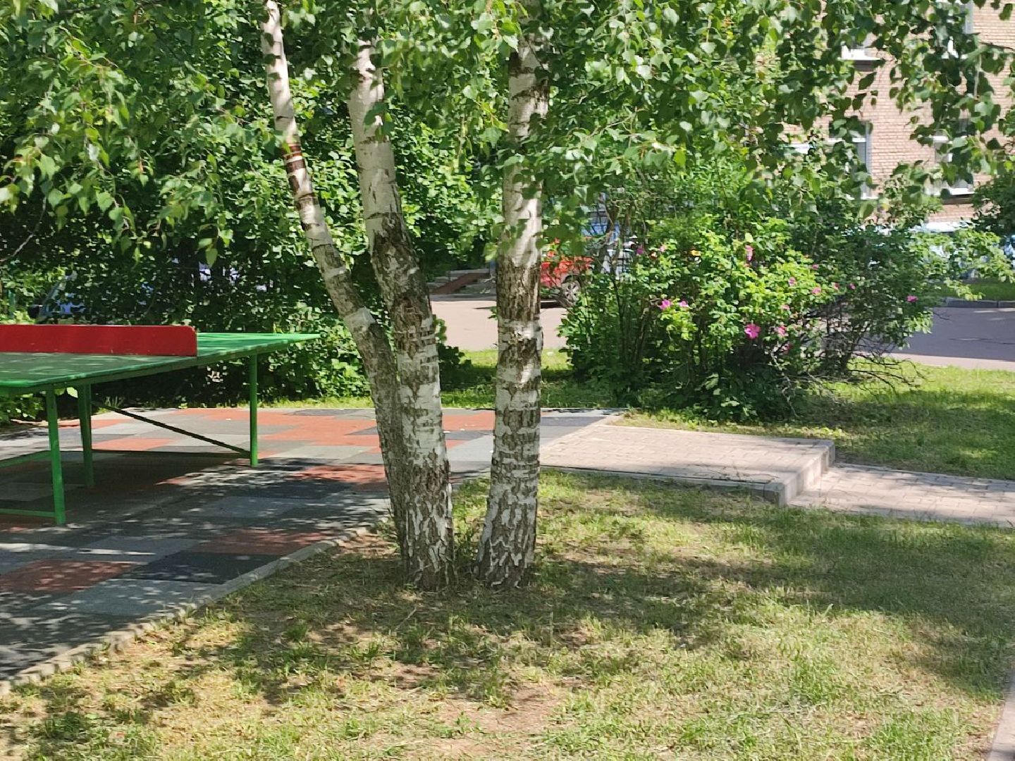 ГУСТ, Мытищи, живые изгороди, детские площадки