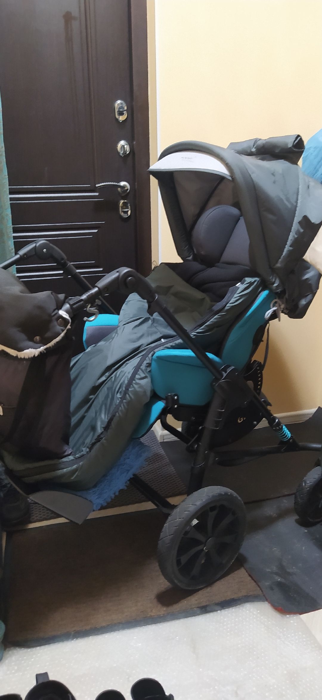 Щелково, общество