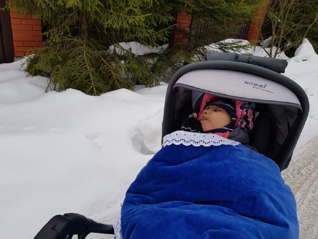 Щелково, общество