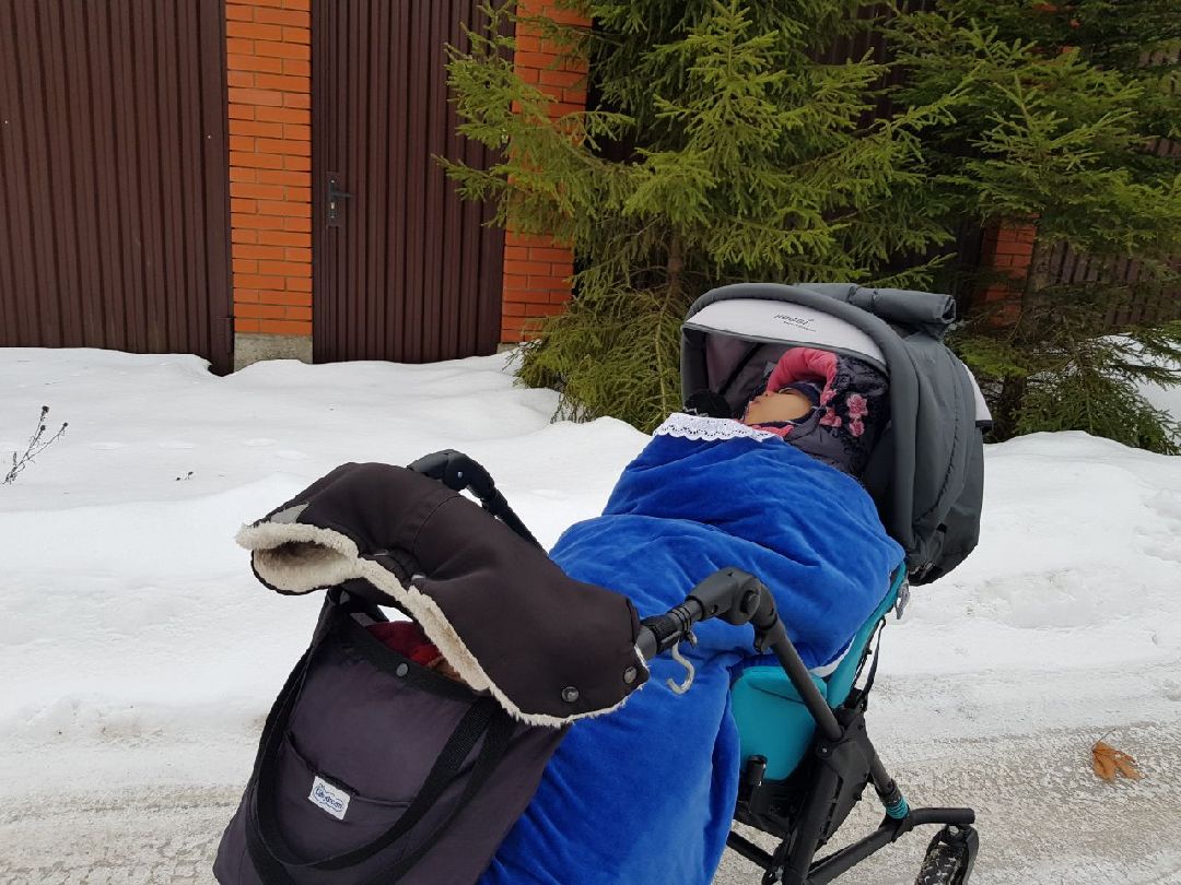 Щелково, общество