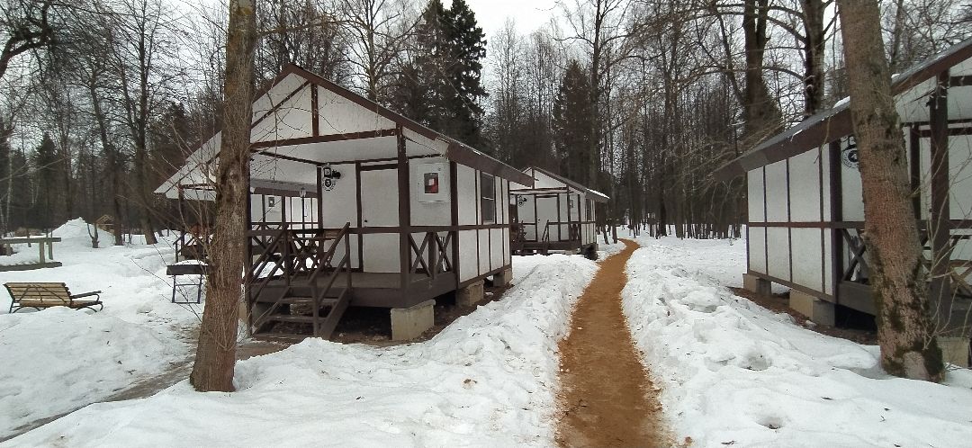 Щёлково, общество