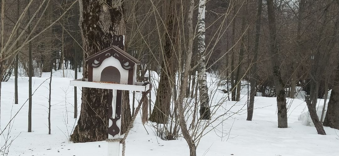 Щёлково, общество