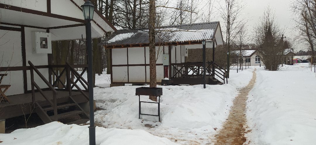 Щёлково, общество