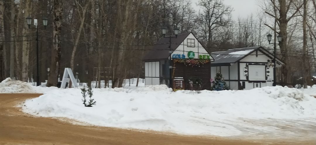 Щёлково, общество