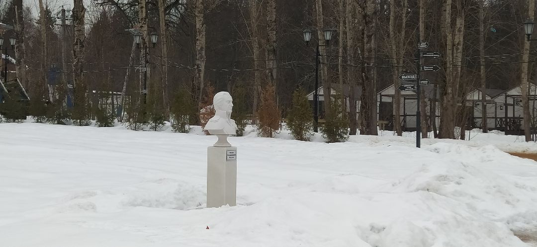 Щёлково, общество