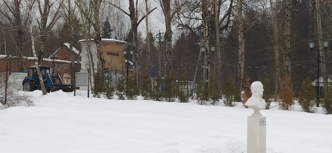 Щёлково, общество