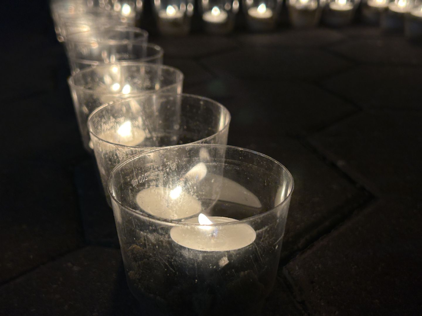 Акция, День памяти и скорби, Фрязино