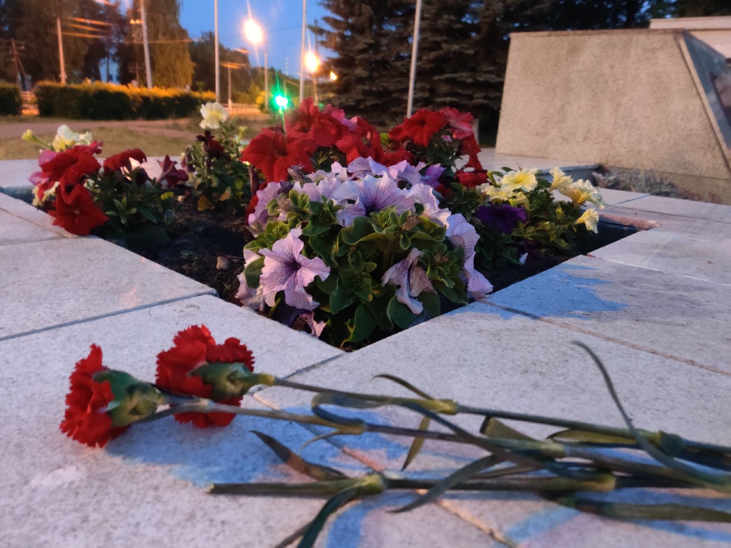 Красноармейск, Пушкинский, свеча памяти, история семьи, стихи о войне