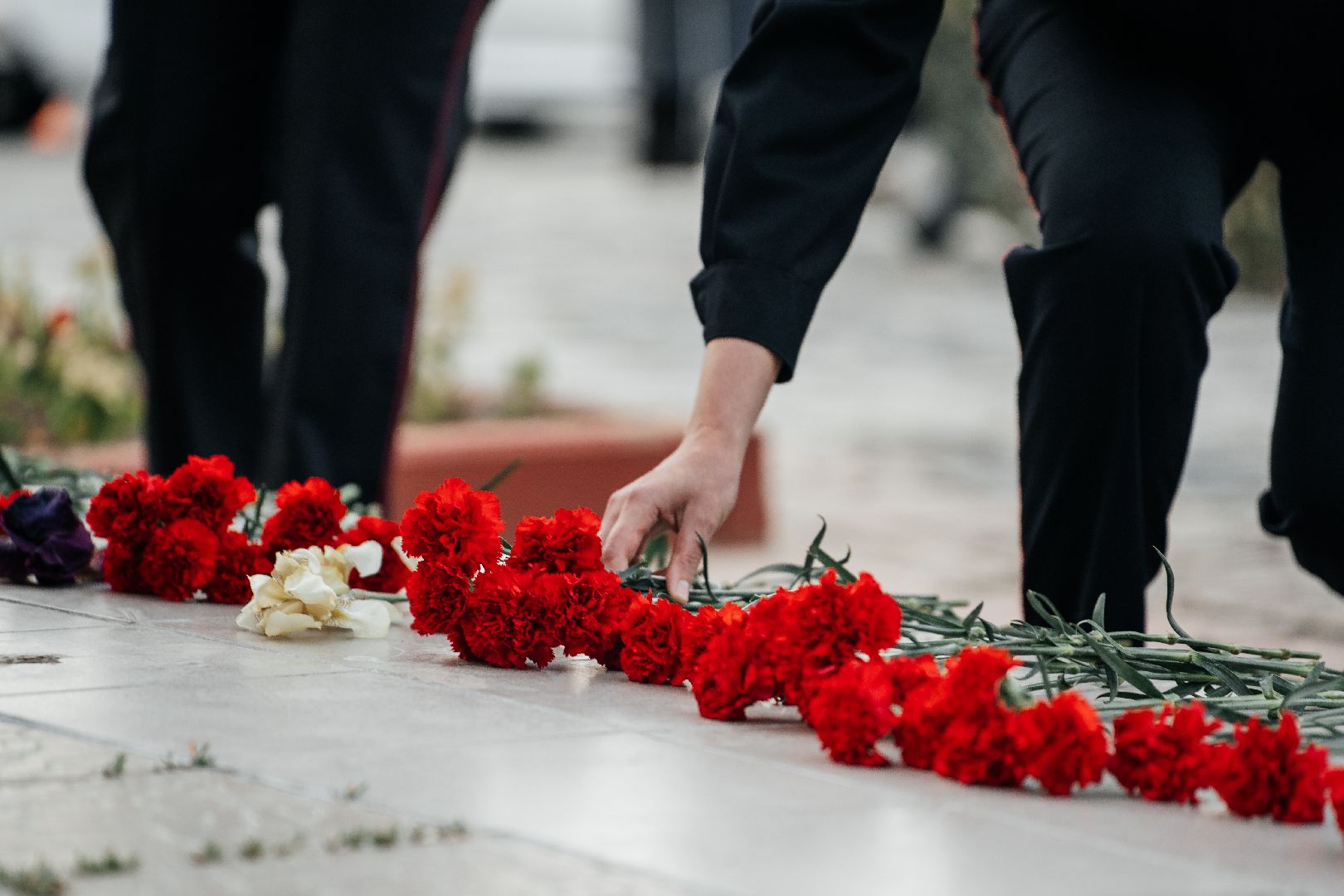 Можайск, Можайский городской округ, Подмосковье, День памяти и скорби, вахта памяти, Можайск помнит, Великая Отечественная война, герои, война